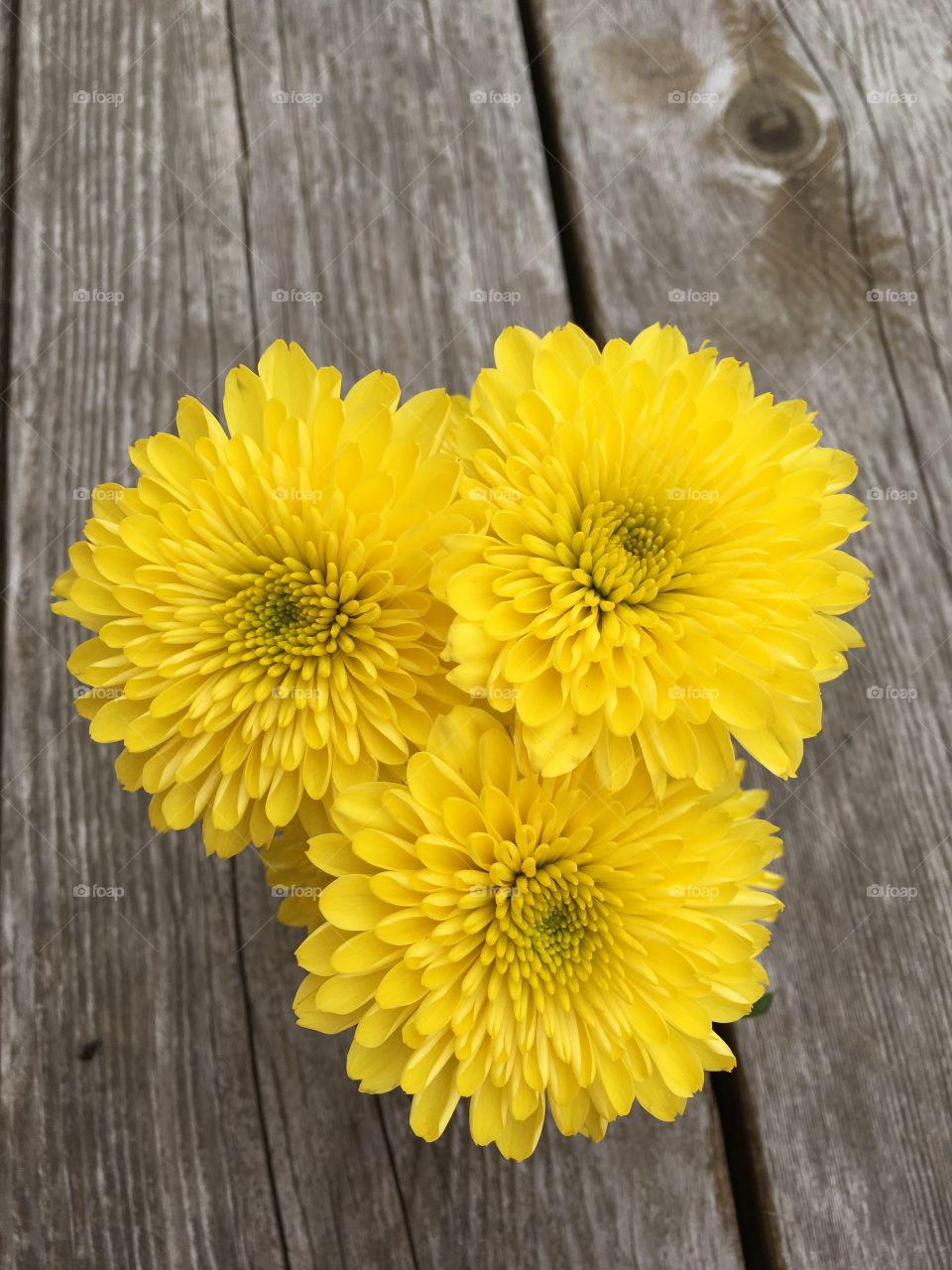 Yellow flowers on wooden