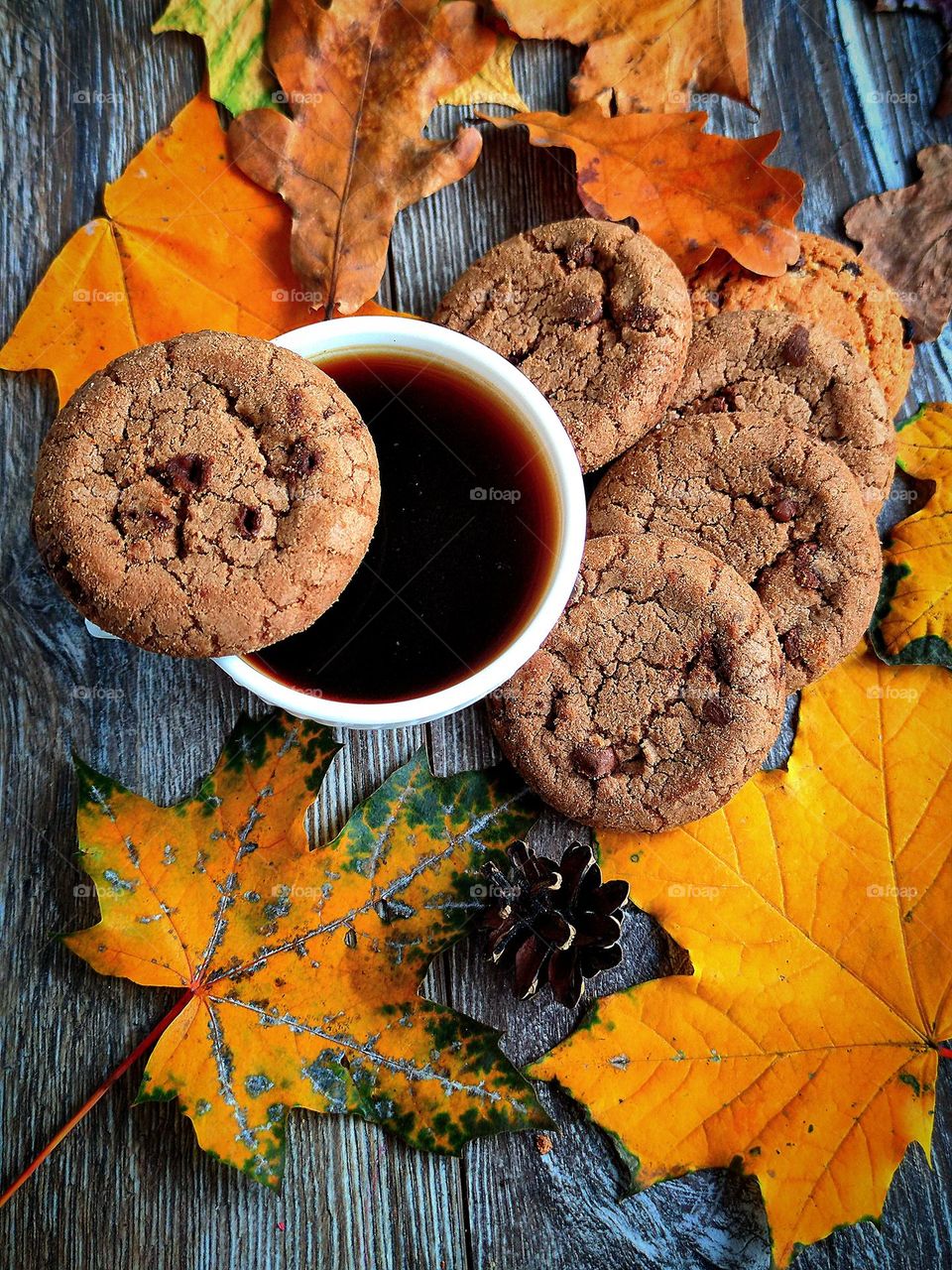 Chocolate chip cookies. On a wooden background is a white cup with black coffee. On the edge of the cup lies a chocolate chip cookie. There are chocolate chip cookies next to the cup. Decorates the background with autumn yellow leaves and a cone