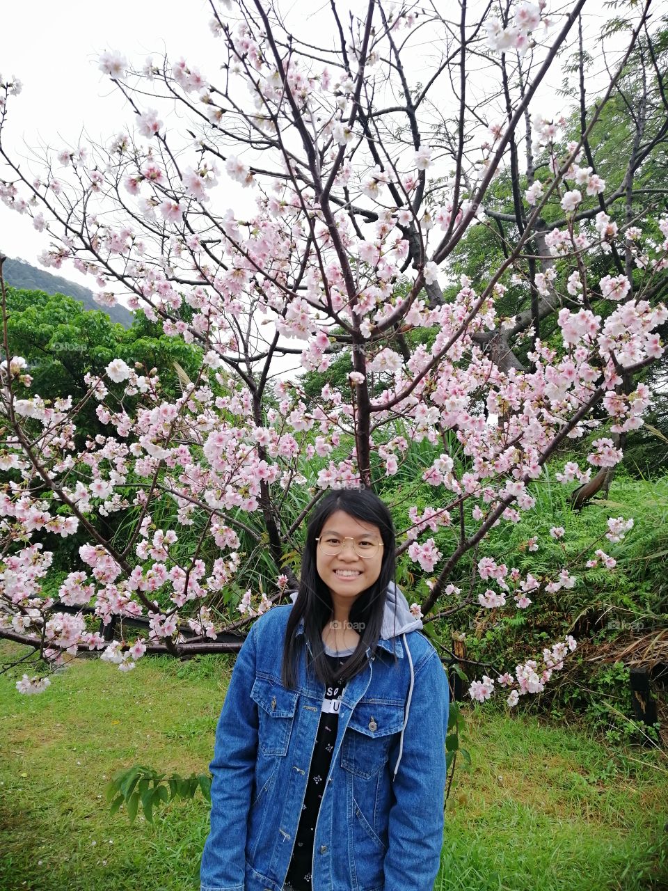 Sakura Taiwan