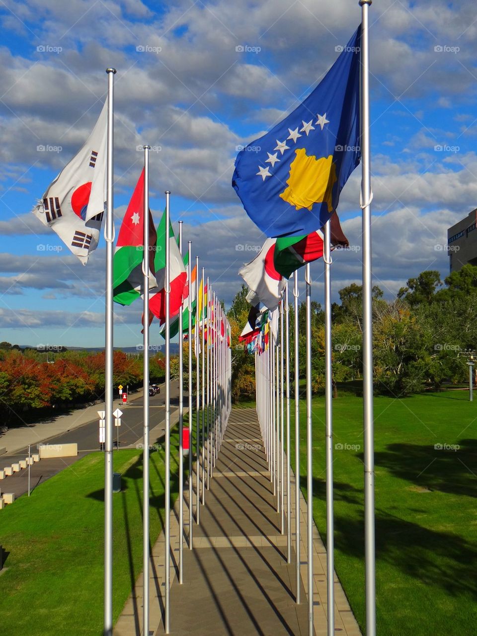 Australia Avenue Flags