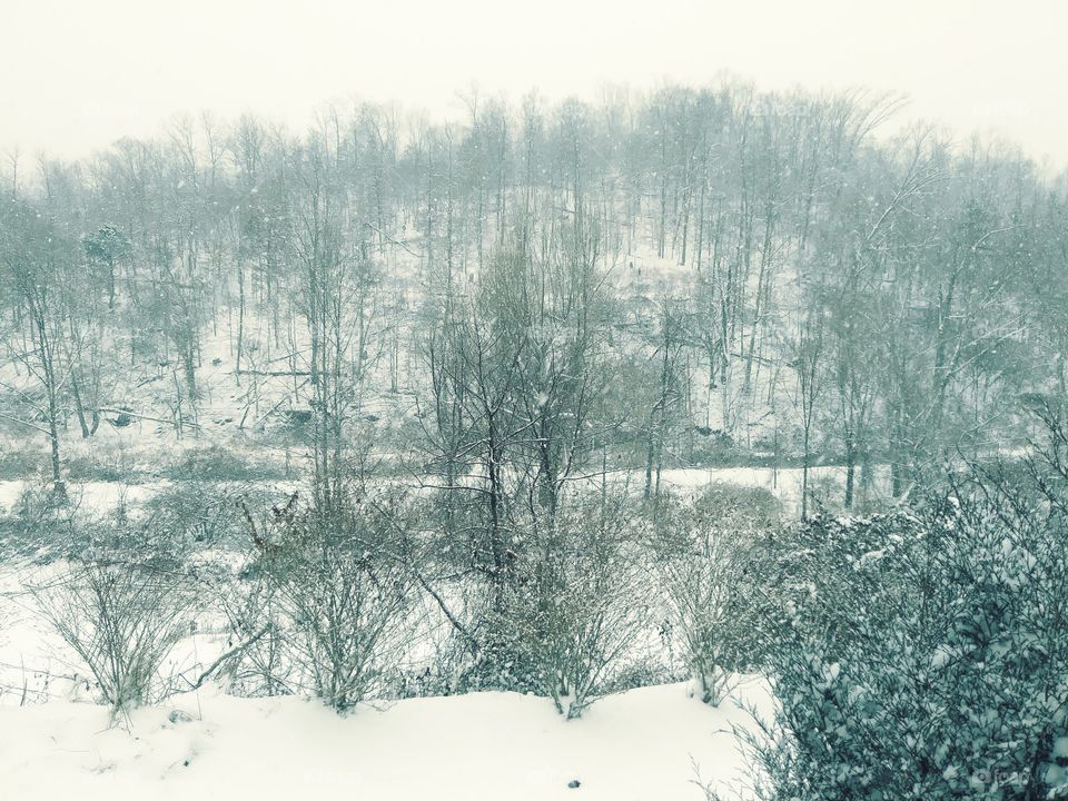 Appalachian Wonderland