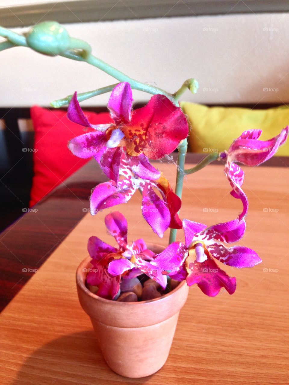 Central Red

Published by:
HappyBrownMonkey 