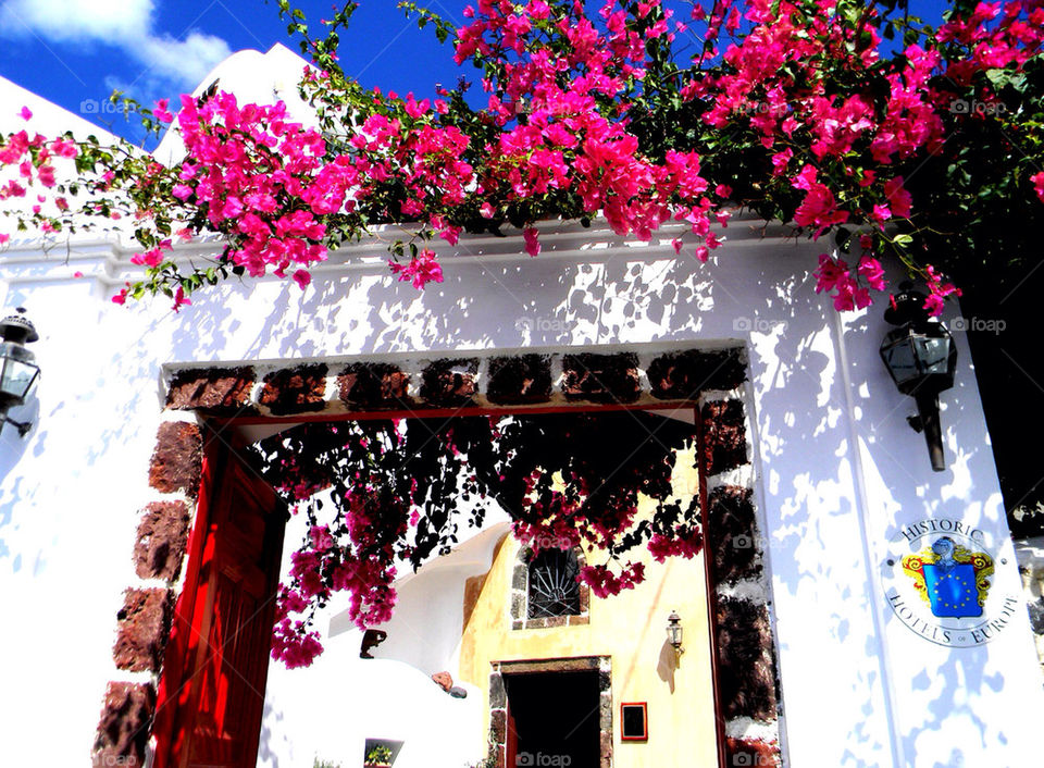 Bougainvillea gate in Fira, Santorini