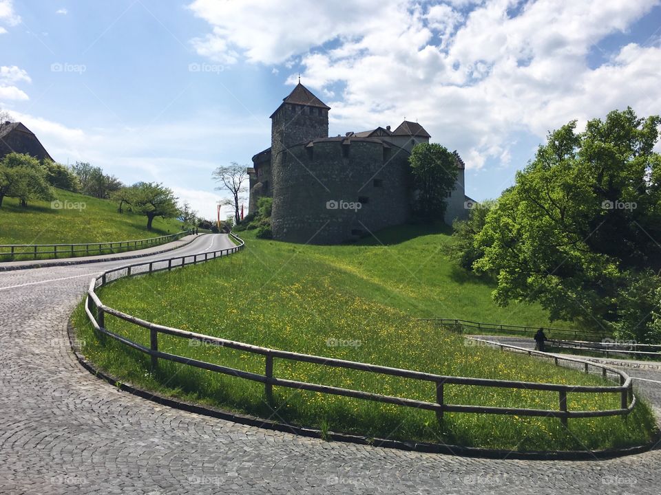 Liechtenstein castle 