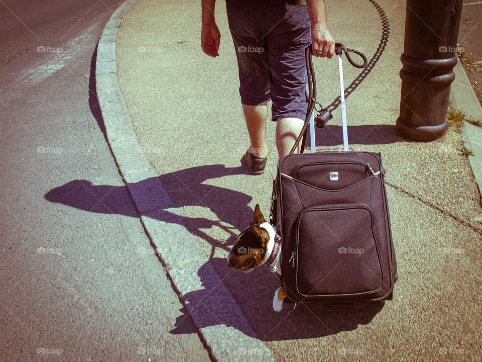 dog travel trolley