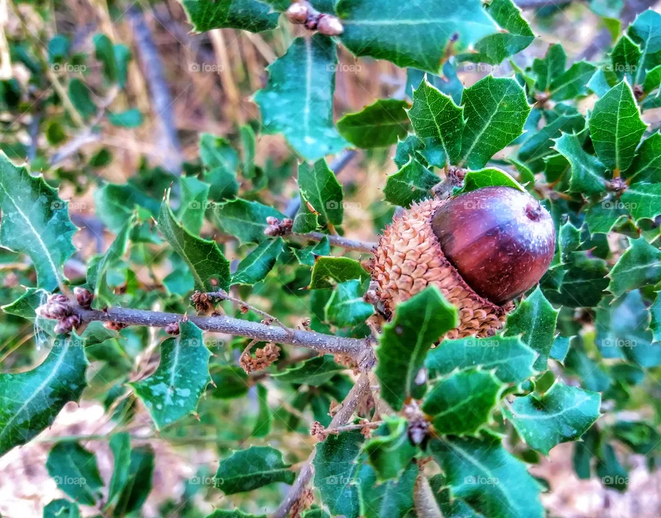 Autumn !
