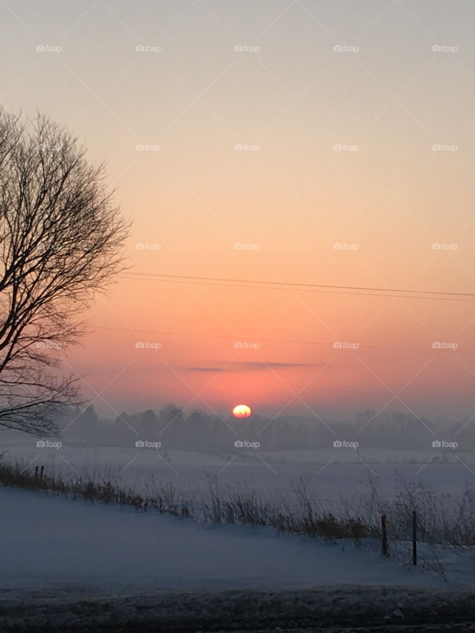 Winter, Snow, Dawn, Landscape, Cold