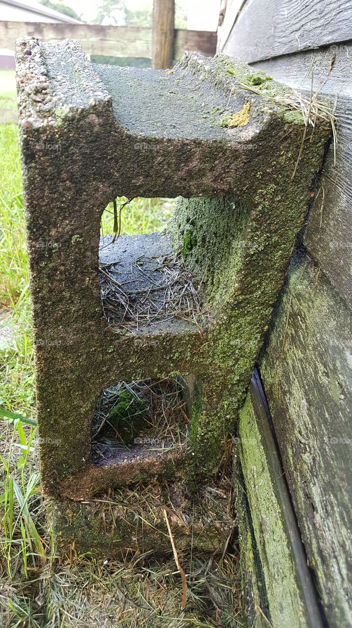 cinder block with moss growing on it on farm