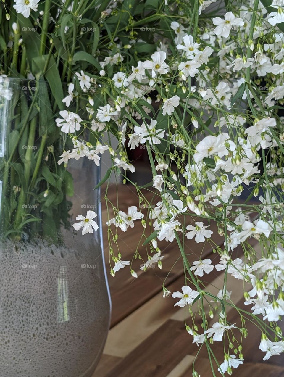 Bouquet of gypsophila paniculata in a vase