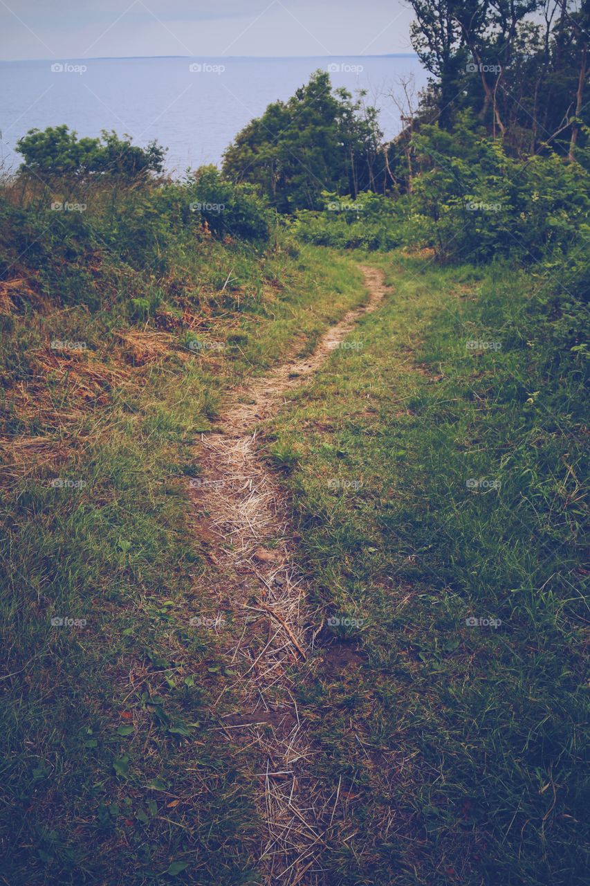 Hiking trail 