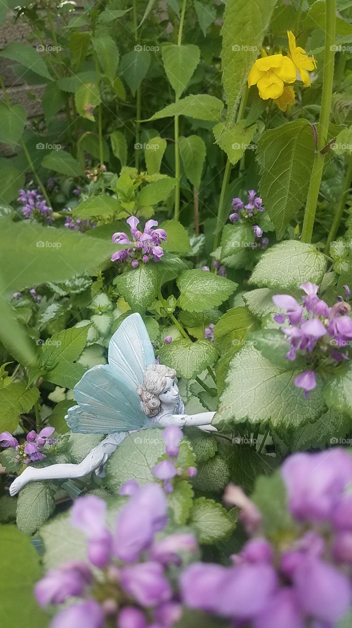 Fairy in flowers