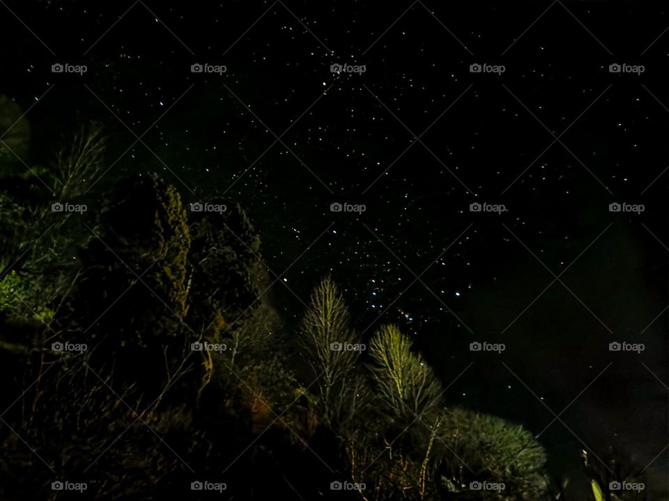 stars shining so bright