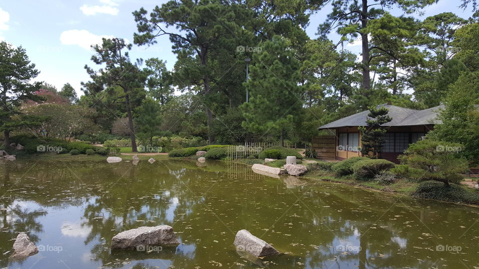 Japanese Garden at Herman Park