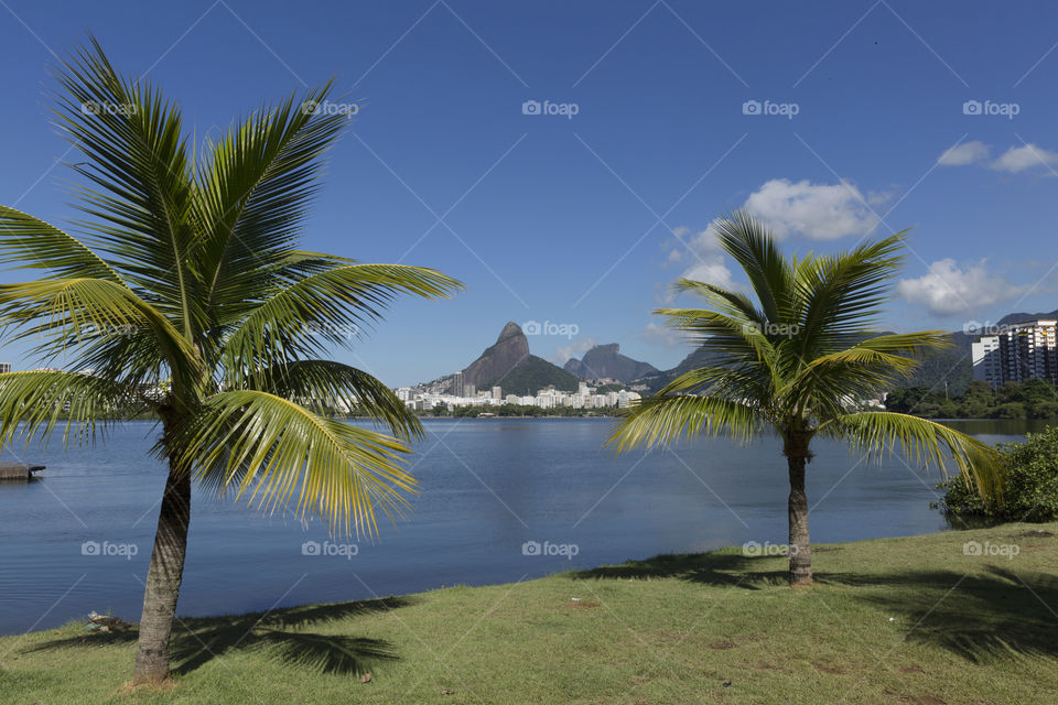 Rodrigo de Freitas Lagoon in Rio de Janeiro Brazil.