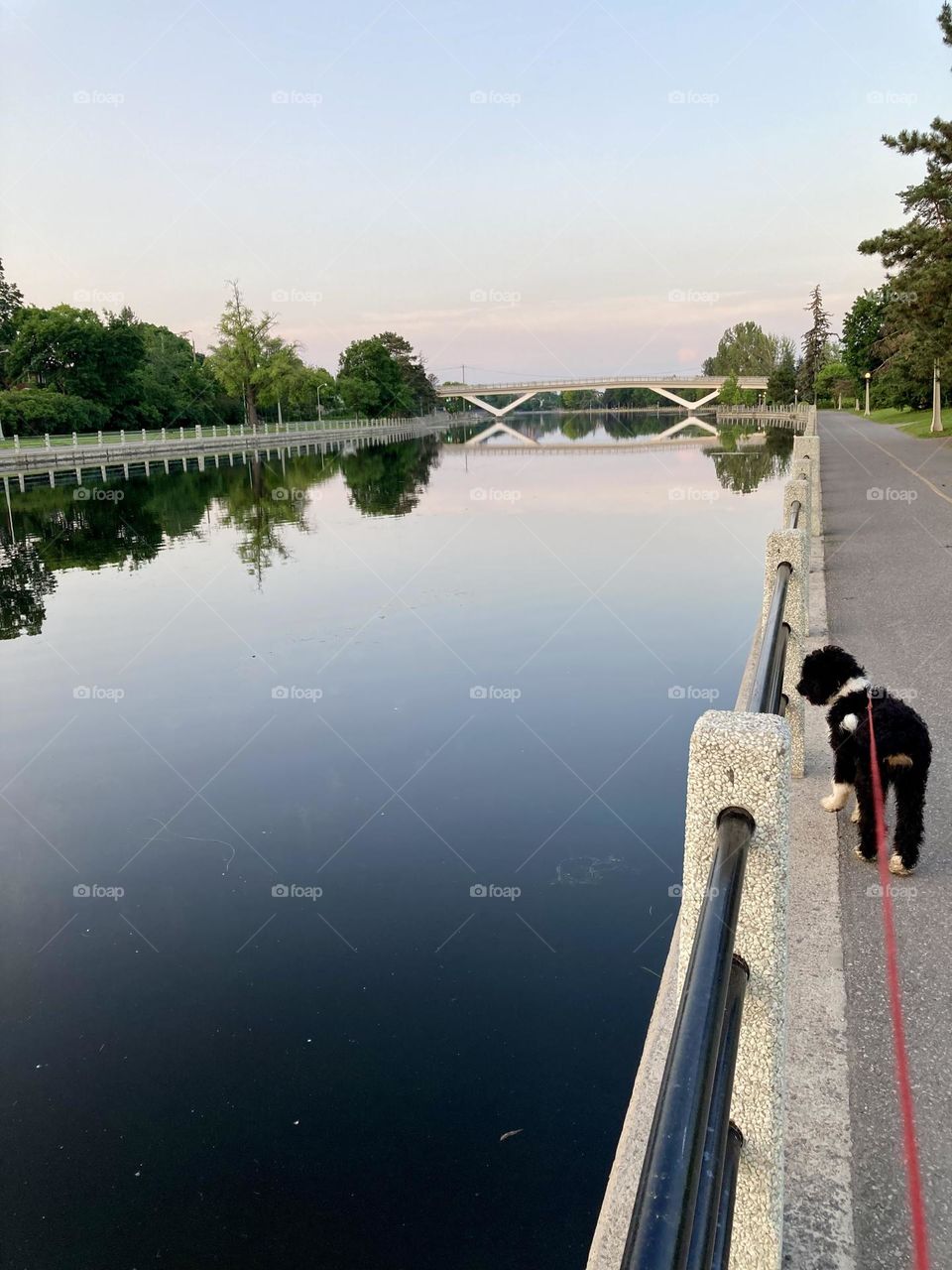 Early morning walk by the Rideau Canal.