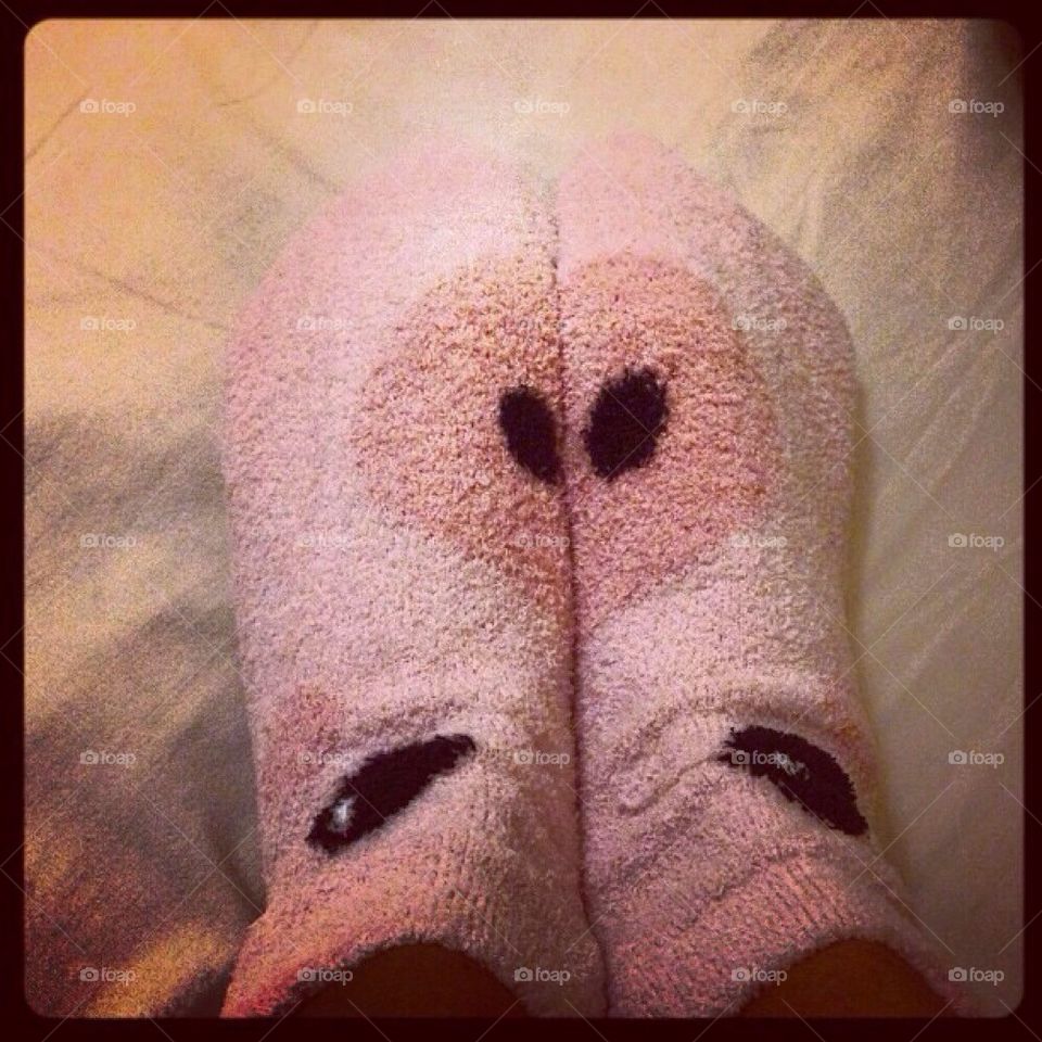 Pig socks