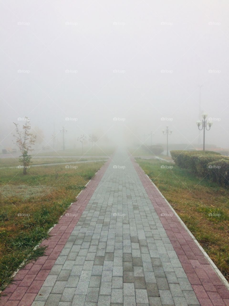 Fog