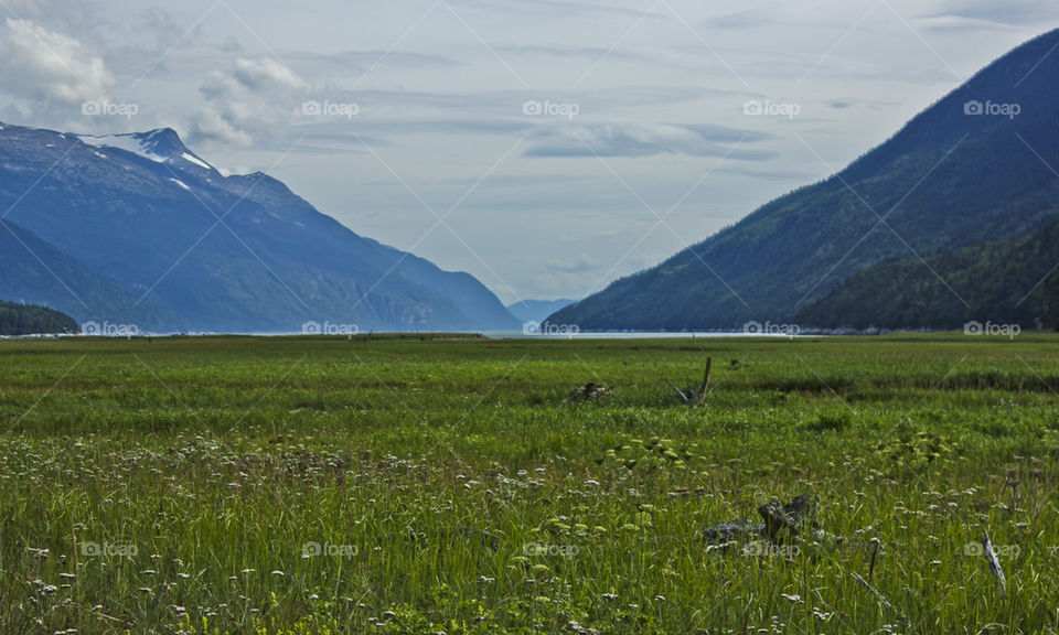meadow alaska kgphotography by kghilieri