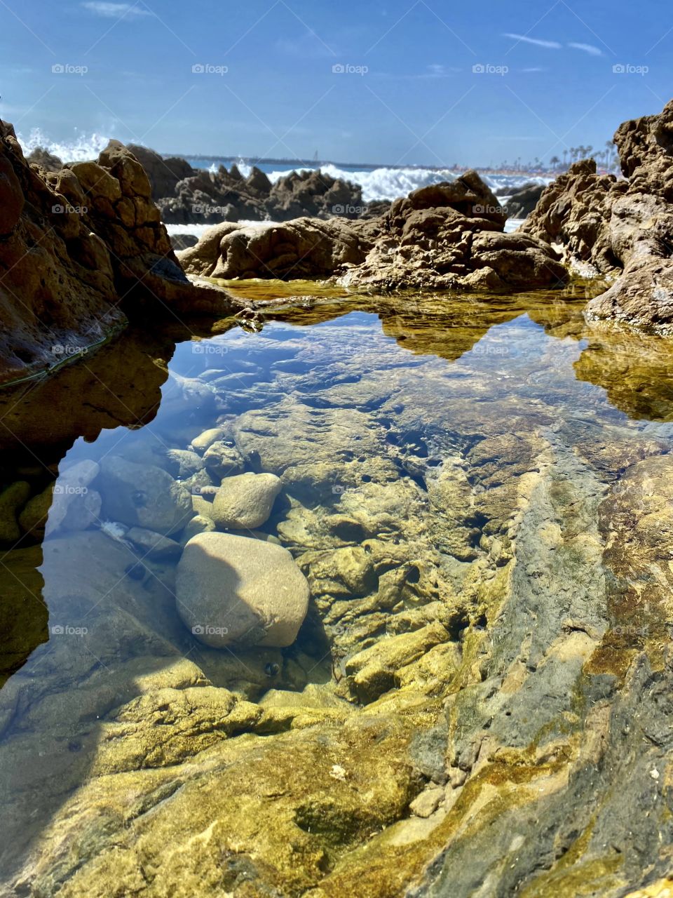 Tide Pool at Corona del Mar State Beach 