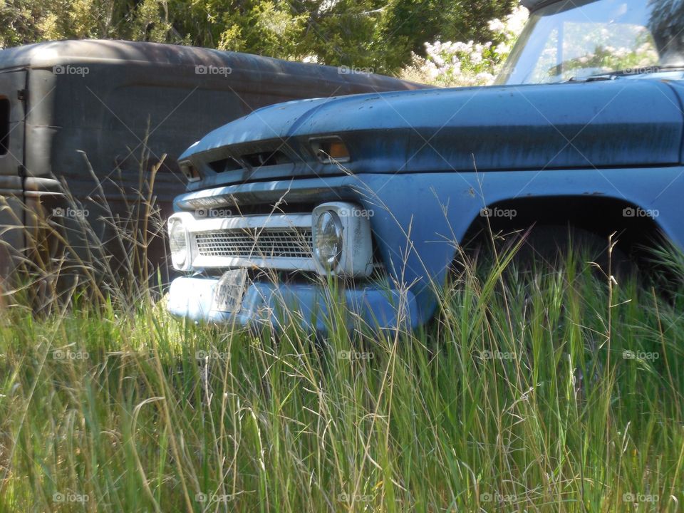 Car, Vehicle, Transportation System, Abandoned, Grass