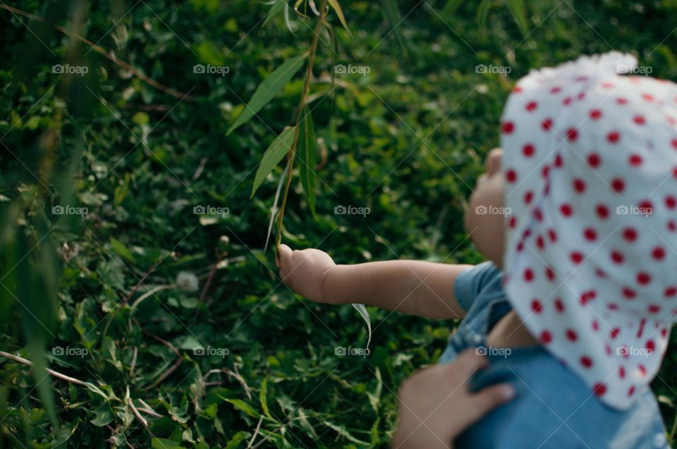 exploring the plants growing around