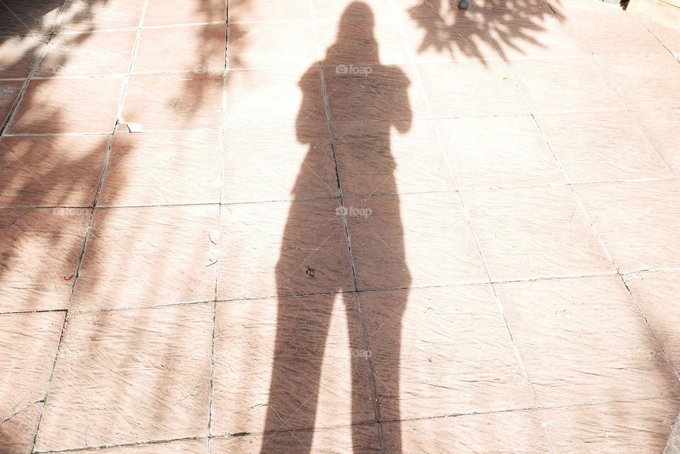 Miraculous Abstract.