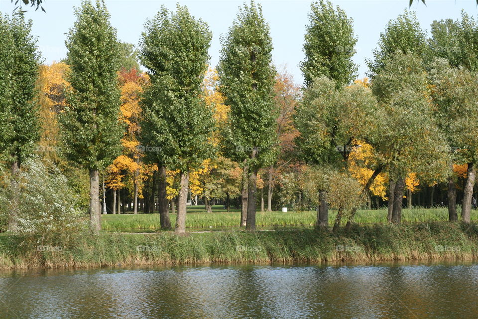 Lake in Park