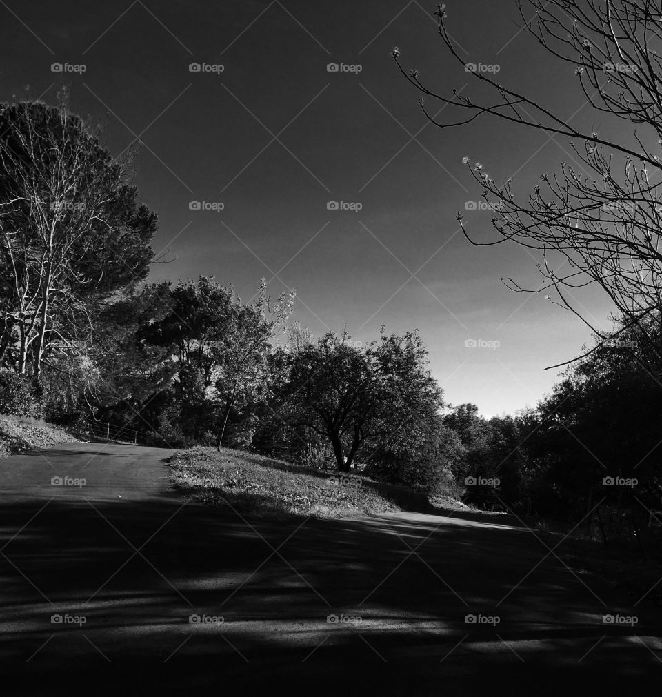 Fork in country road black and white