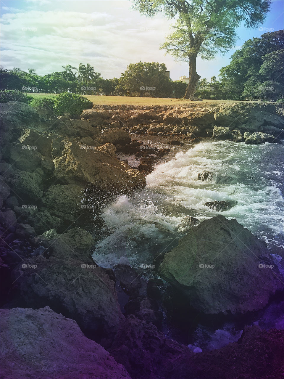 Ocean churning over the rocky coast