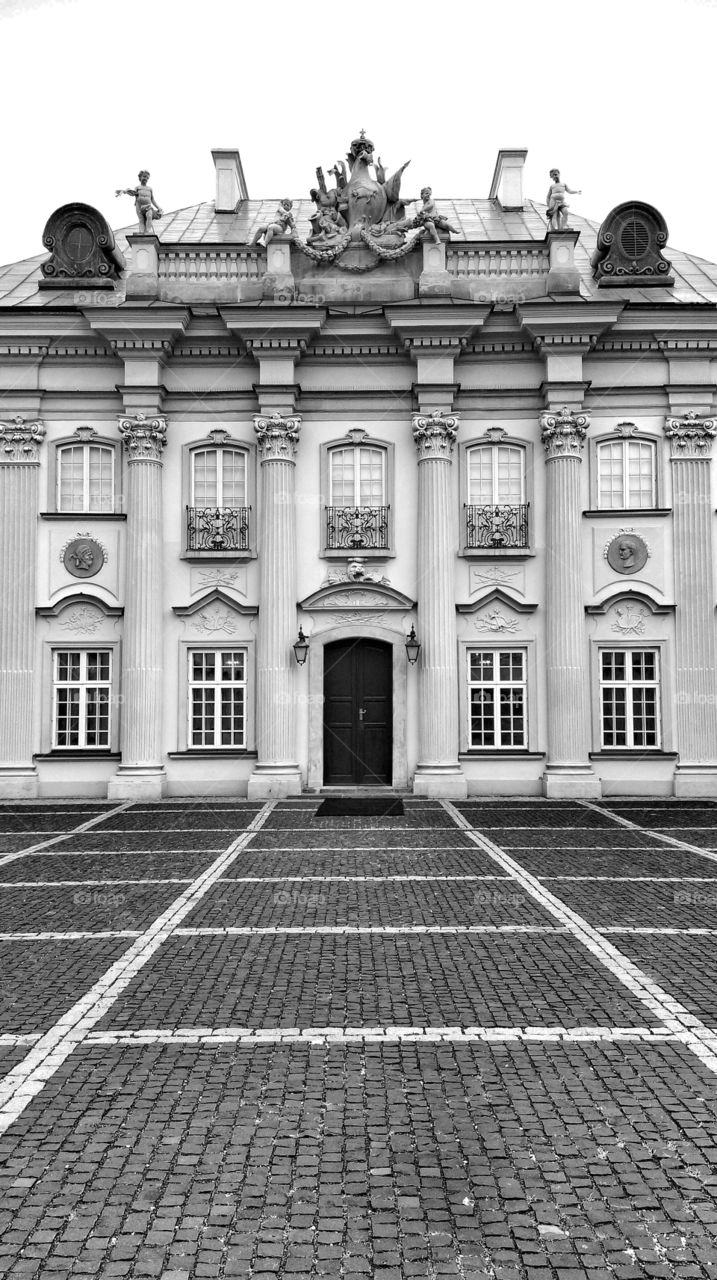 Palace facade. Palace facade