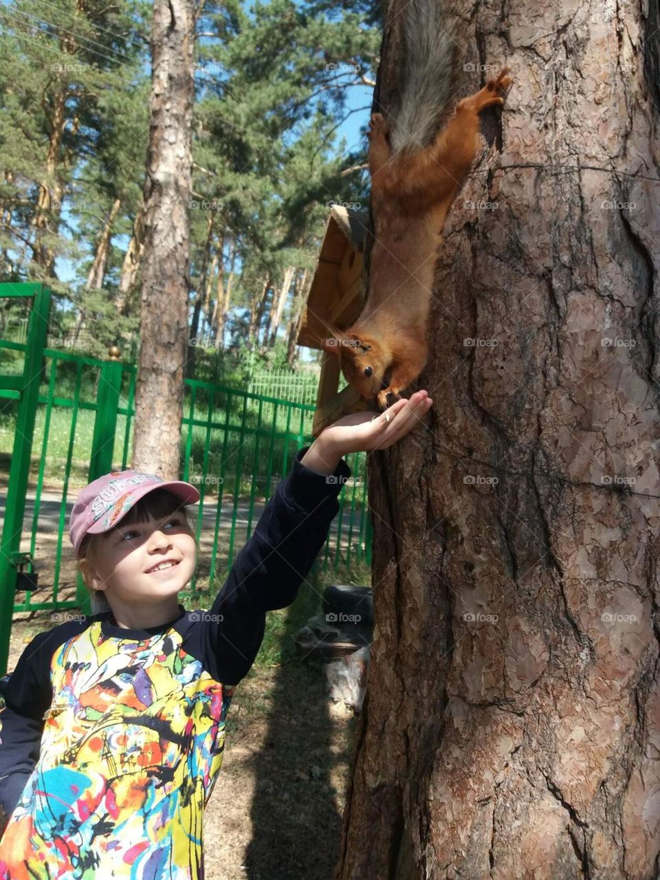 кормление белочка в лесу