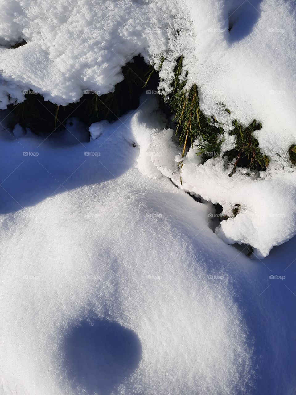 studium of snow on a sunny day - melting snow with rising temperature