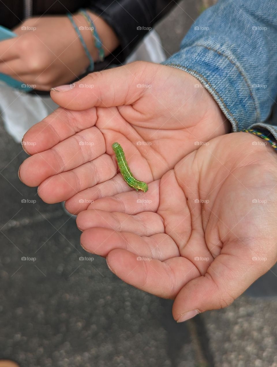 green caterpillar crawling on little girls hands with little sister watching from the side