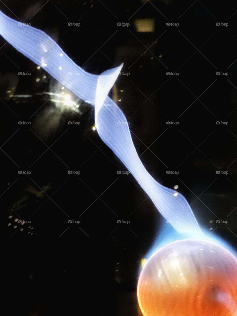 The light gives life