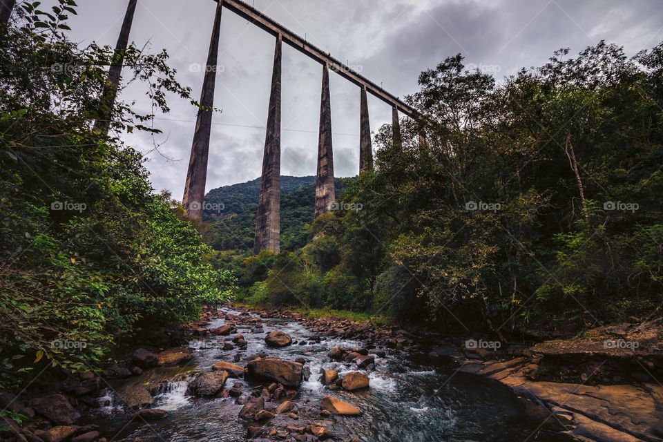 High viaduct in the nature