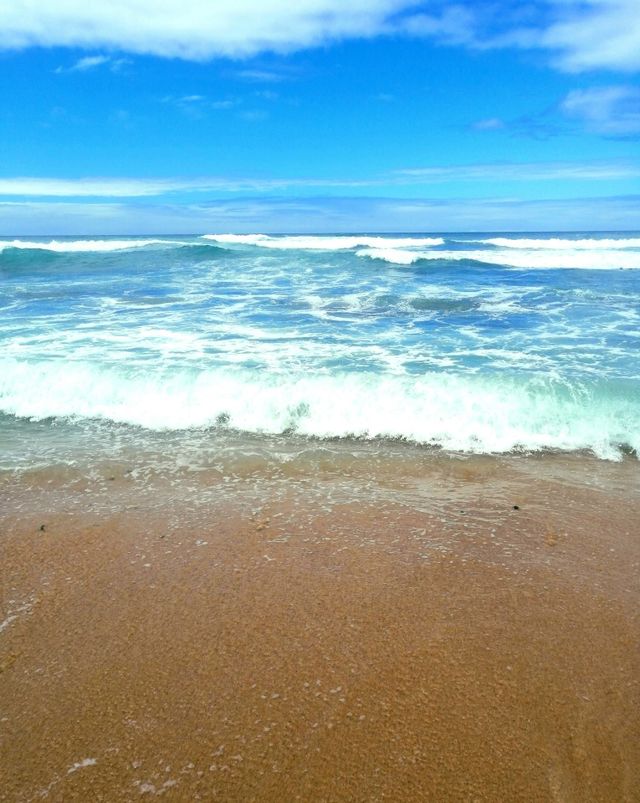 SA Beaches