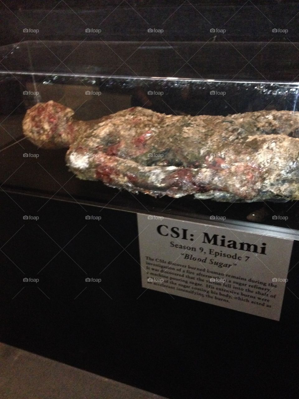 Forensic Science

Published by:
HappyBrownMonkey 