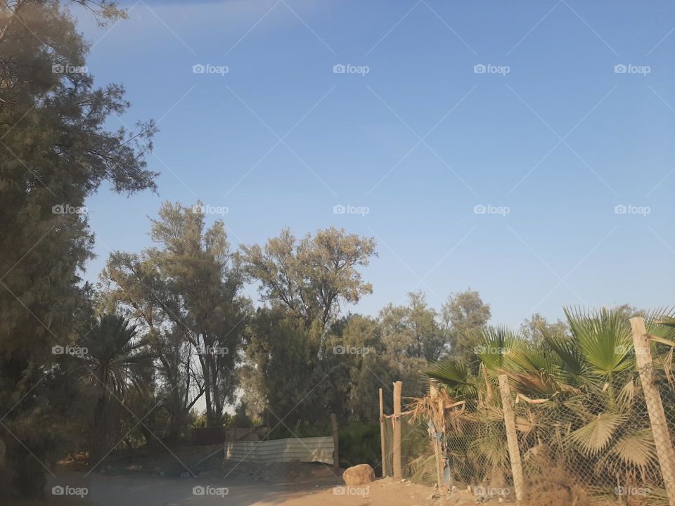 Please make me happy, I am poor, I need your help with support