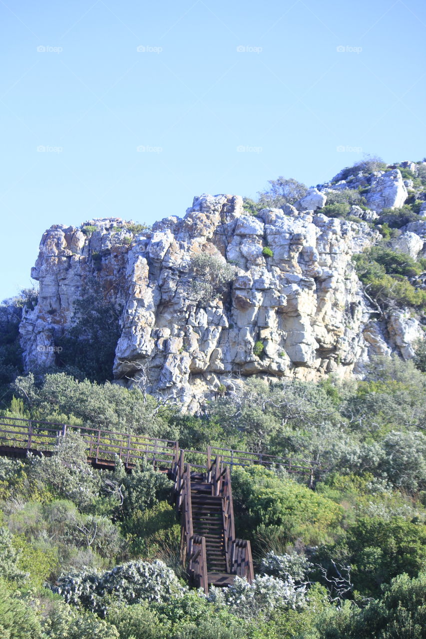 let's go up the kopje