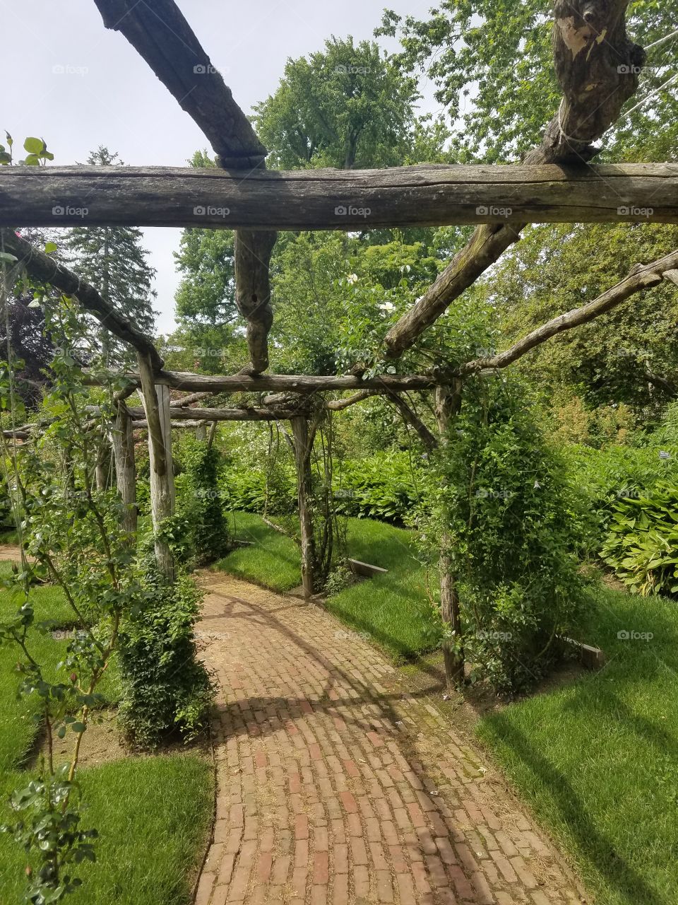 Beginning of Summer at Old Westbury Gardens on Long Island. Mix of Clouds and Sun. No Filter. Walking Path Captured on Android Phone - Galaxy S7. May 2017.