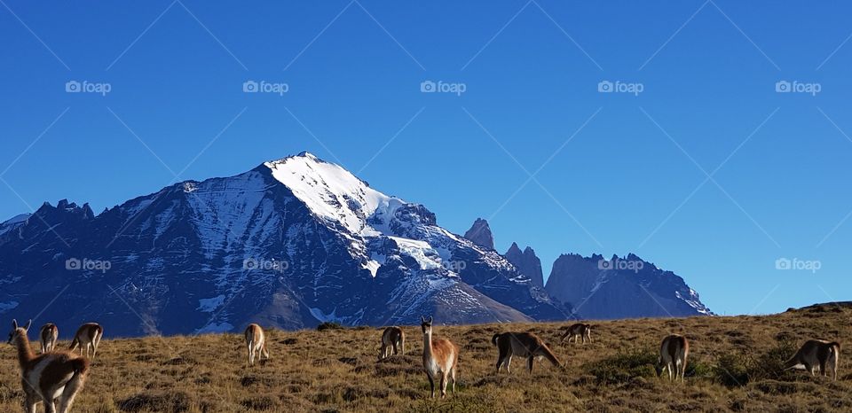 Patagonia Argentina