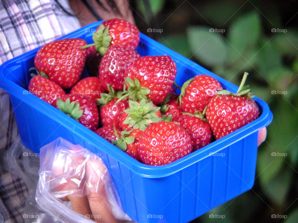 Box with Strawberries