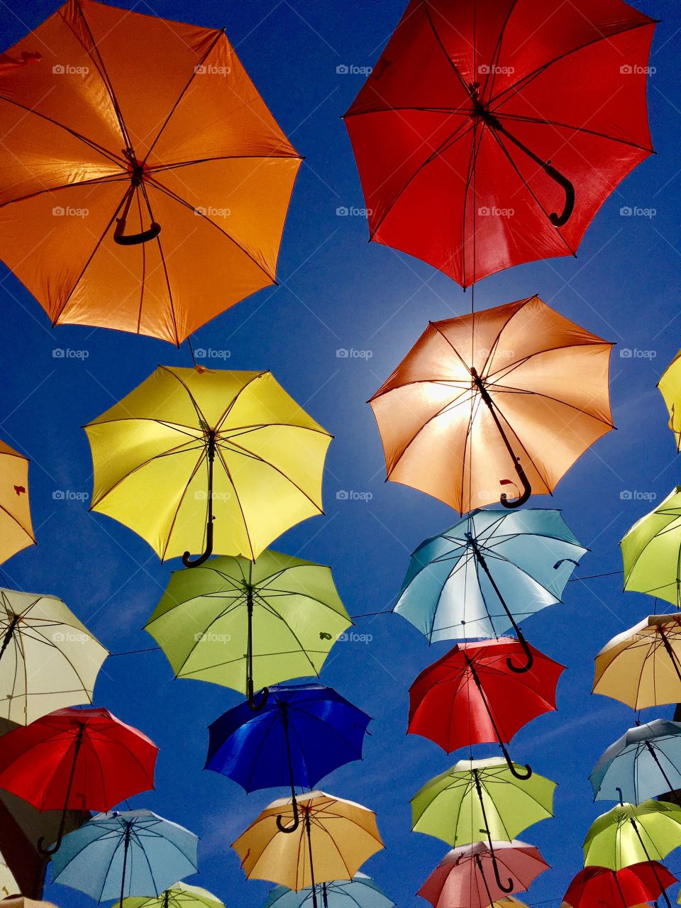 artistic representation with umbrellas in Novigrad, Croatia