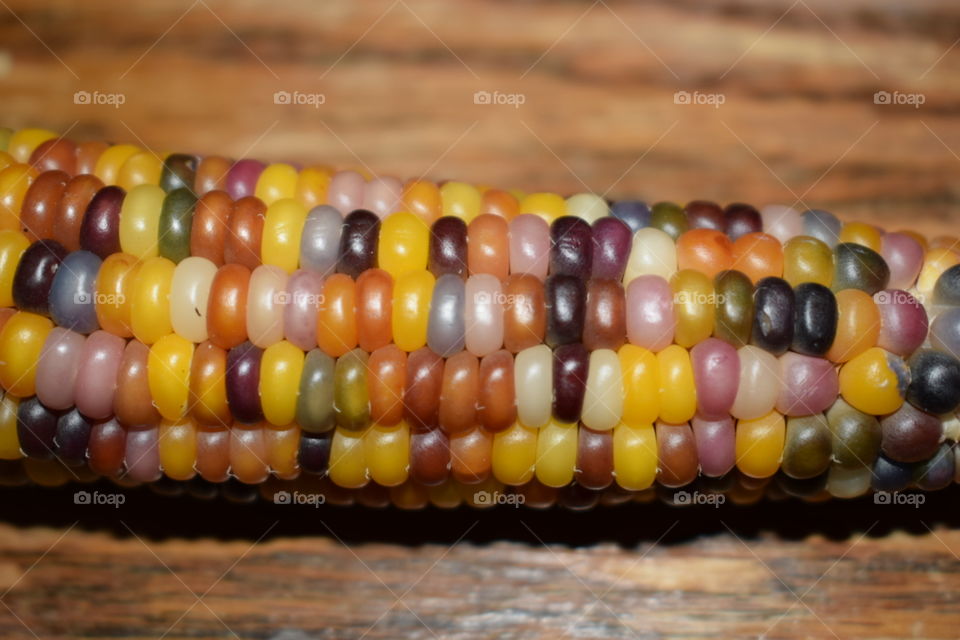 color corn