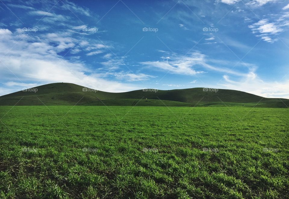 View of green grass and hill