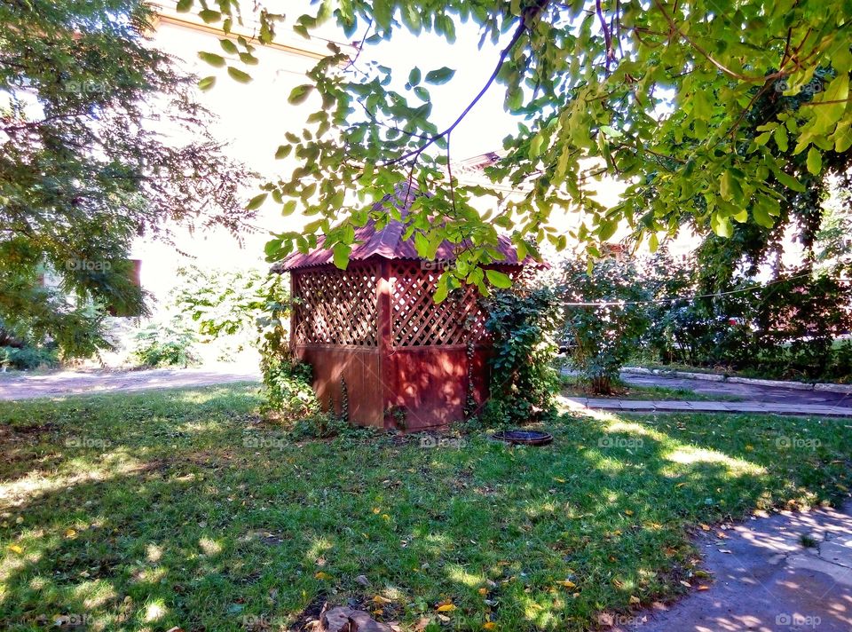 Garden, Tree, Grass, Park, Nature