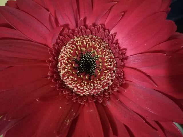 Look inside