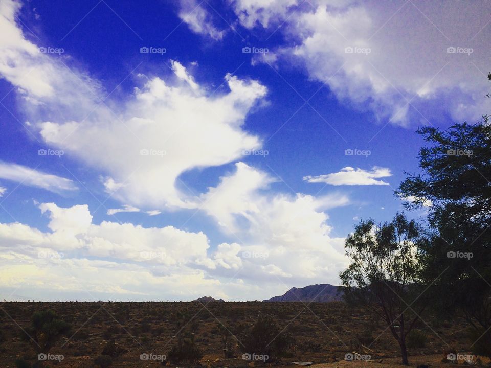Nevada Clouds