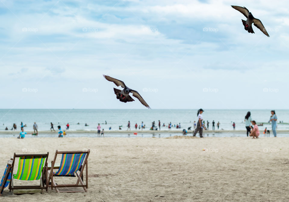 Pigeons were flying , Chairs on the beach and blurry tourists.