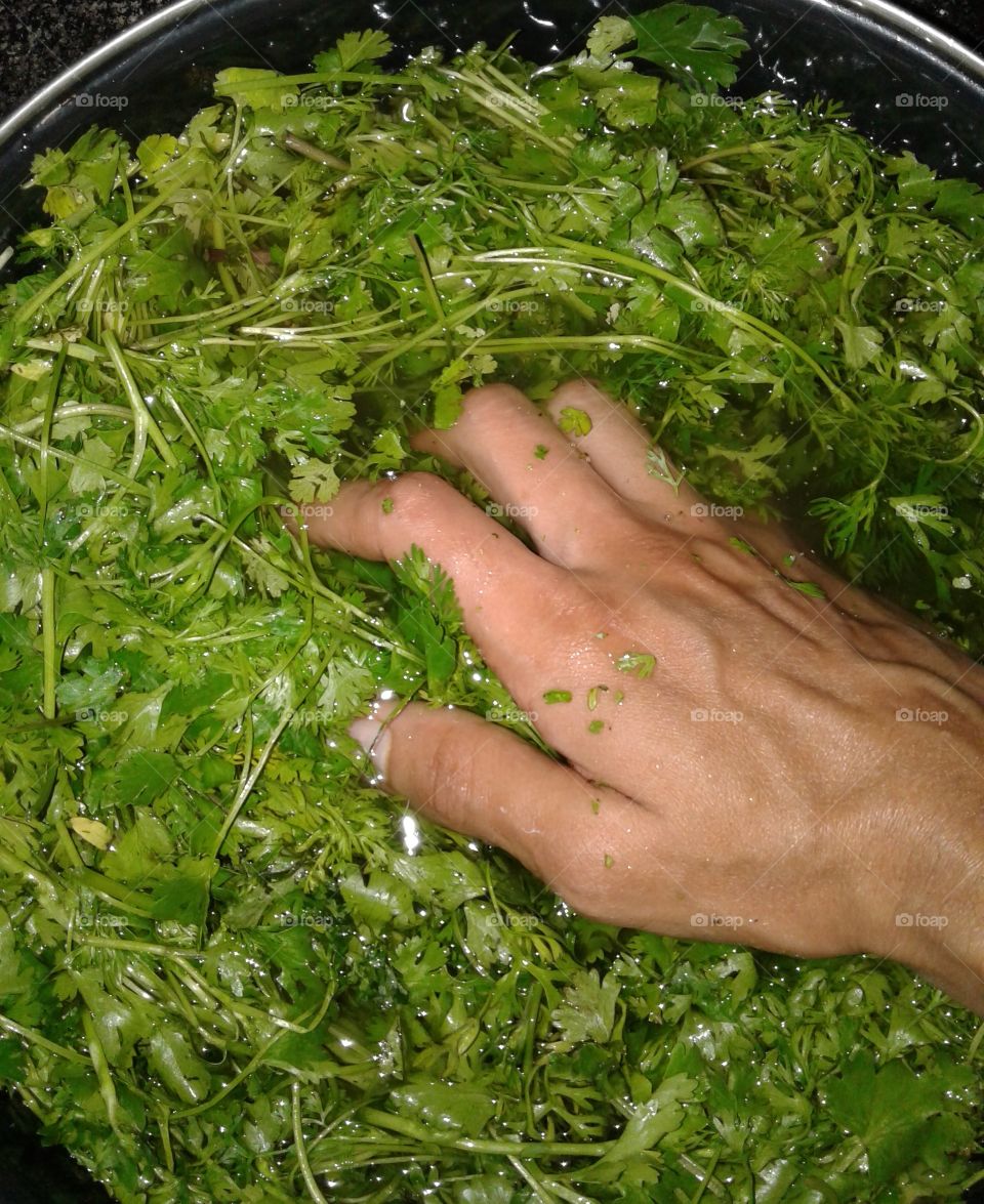 greens need to be washed before eating like corriander leaves vegetables